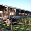 Haras Construccion7