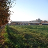 Haras Construccion8
