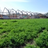 Haras Construccion13