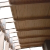 SMI_F19