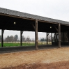 Haras 5