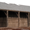 Haras 16