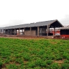 Haras 14